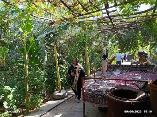 عکس نهالستان غبیشاوی