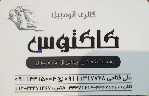 عکس نمایشگاه اتومبیل کاکتوس