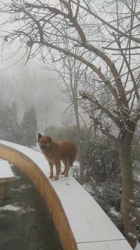 عکس بوستان نیایش