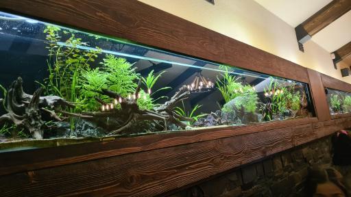 رستوران کلبه