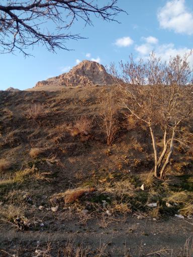 عکس توپ آغاج