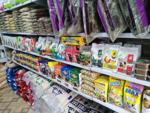 عکس پت شاپ لاویا