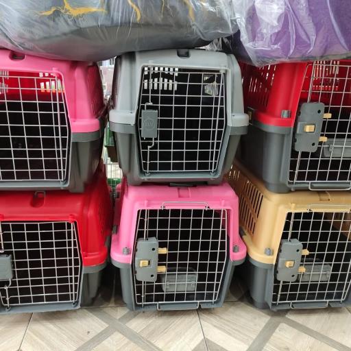 پت شاپ لاویا