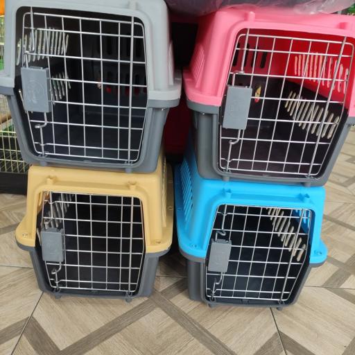 پت شاپ لاویا