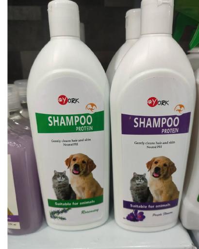 عکس پت شاپ لاویا