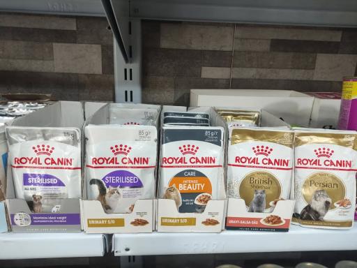 پت شاپ لاویا