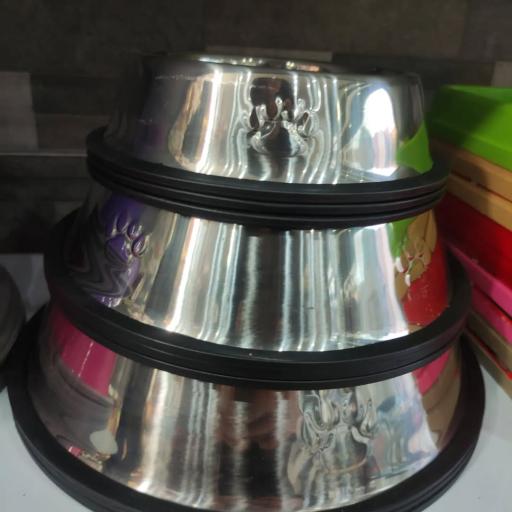 عکس پت شاپ لاویا