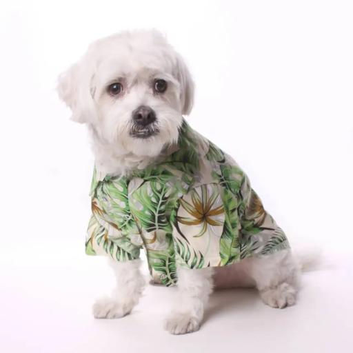 عکس پت شاپ لاویا