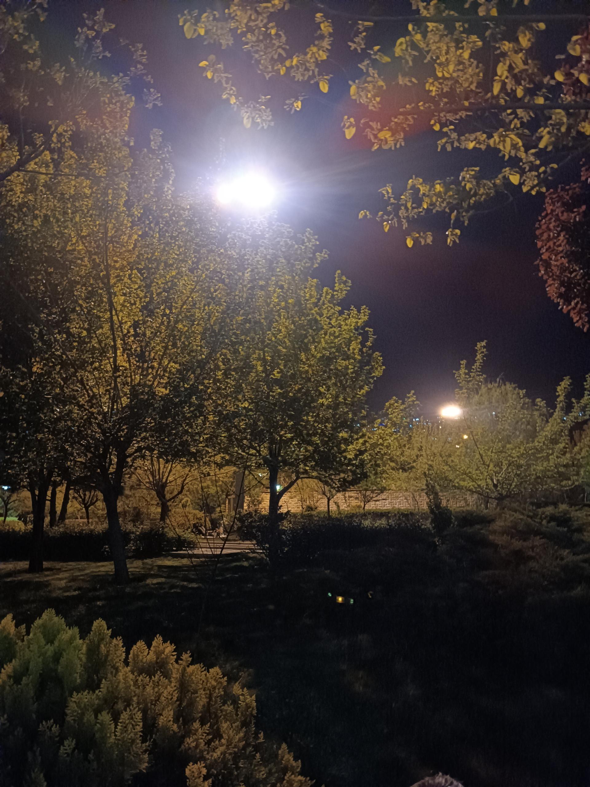 عکس بوستان نیایش