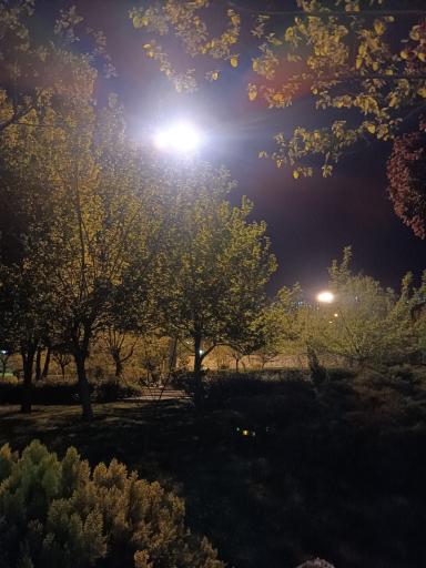 عکس بوستان نیایش