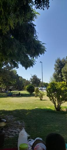 عکس بوستان رز