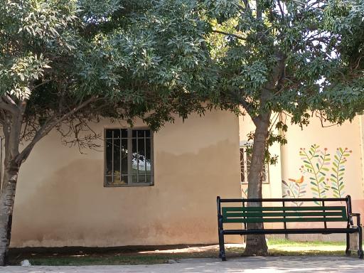 عکس بوستان رز