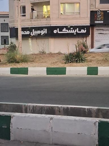 عکس نمایشگاه اتومبیل محمد