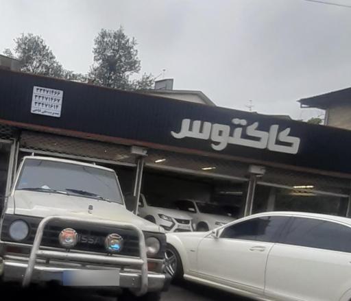 عکس نمایشگاه اتومبیل کاکتوس