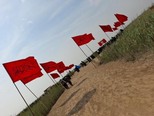 عکس آلبو نایی