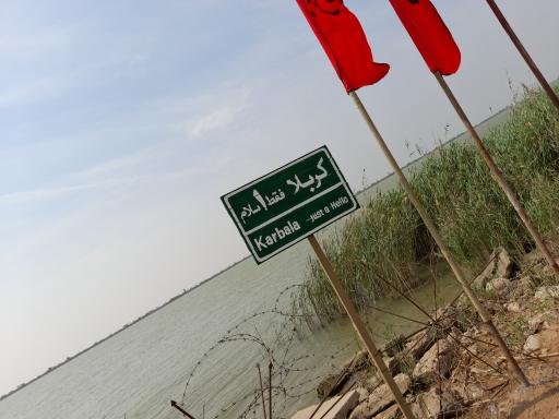 عکس آلبو نایی