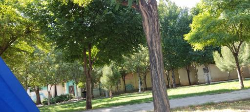 عکس بوستان رز