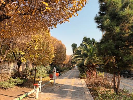 عکس سرویس بهداشتی پارک پرستار