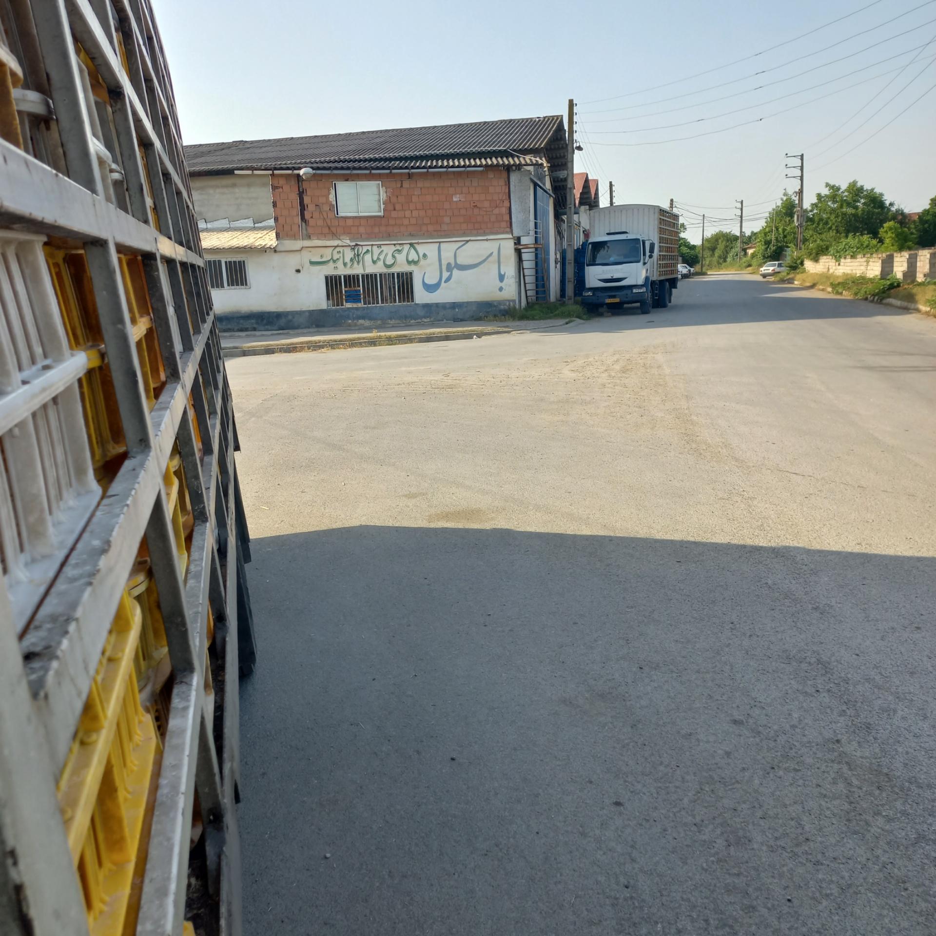 عکس باسکول کوچک زاده 