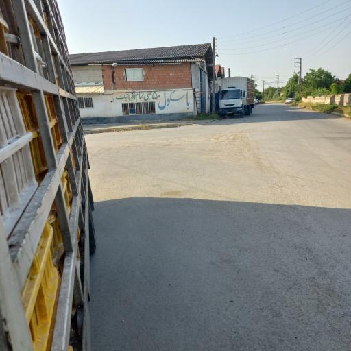 عکس باسکول کوچک زاده 