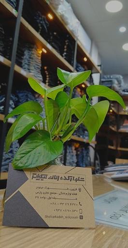 عکس شلوارکده زنانه نیک پوش