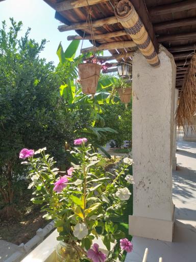 عکس اقامتگاه بوم‌گردی قصرکنار