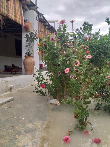 عکس اقامتگاه بوم‌گردی قصرکنار