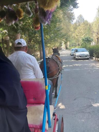 عکس مجتمع فرهنگی تفریحی طوبی (باغ طوبی)