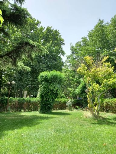 عکس مجتمع فرهنگی تفریحی طوبی (باغ طوبی)