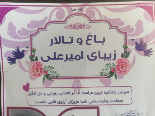 عکس تالار امیر علی