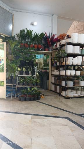 عکس غرفه گل و گیاه 