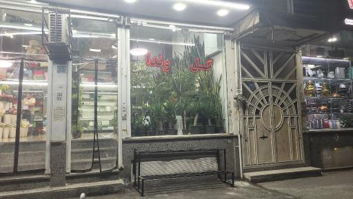 عکس گلفروشی وندا 