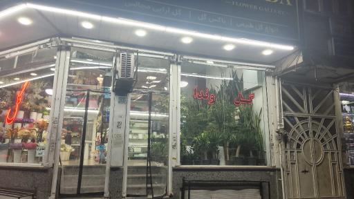 عکس گلفروشی وندا 