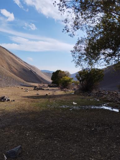 عکس دشت ناز