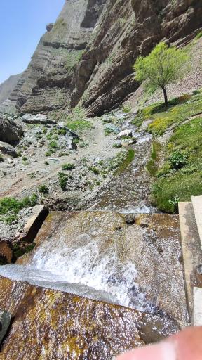 عکس دشت ناز