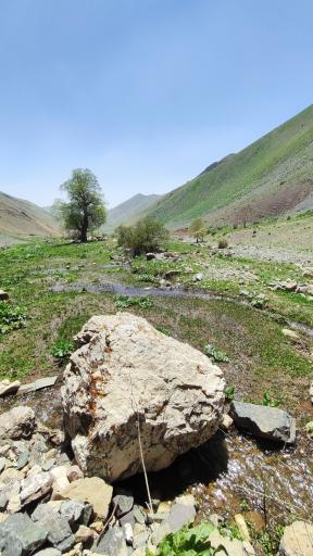 عکس دشت ناز