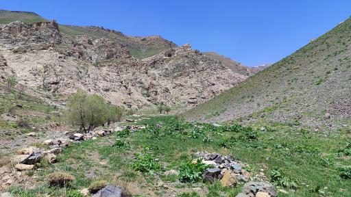 عکس دشت ناز