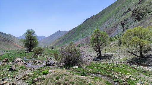 عکس دشت ناز