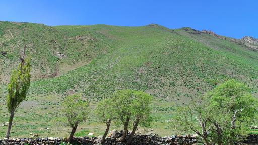 عکس دشت ناز