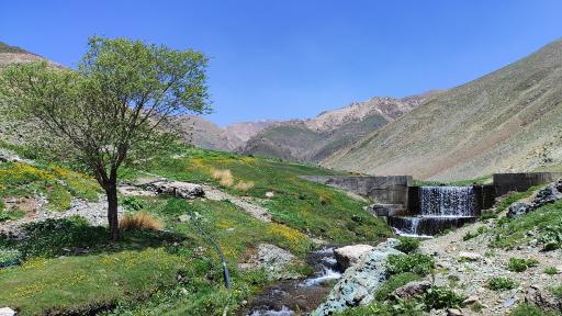 عکس دشت ناز