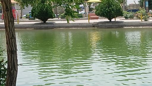 دریاچه مصنوعی کوثر