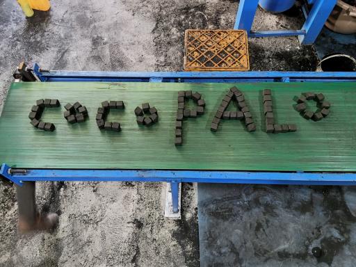 عکس ذغال سازی حسینی 