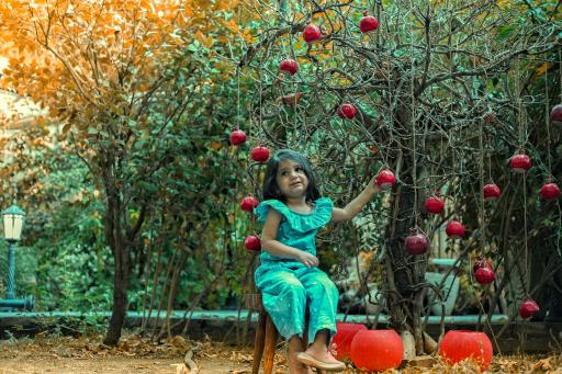 عکس استودیو قصر خورشید 