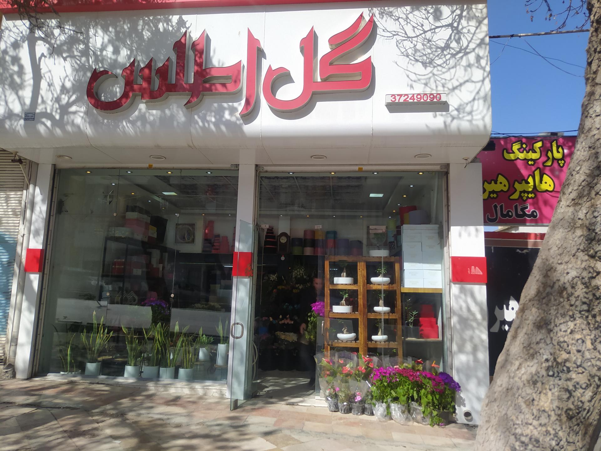 عکس گل فروشی اطلس