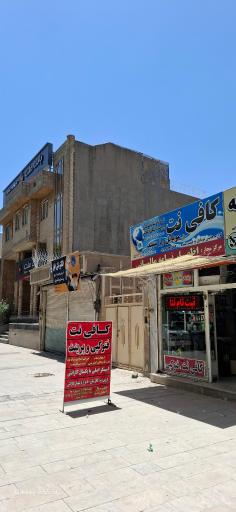 عکس کافینت  رز سفید