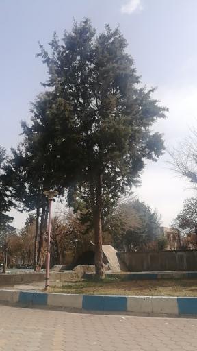 عکس پارک شهر قدیم