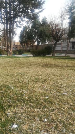 عکس پارک شهر قدیم