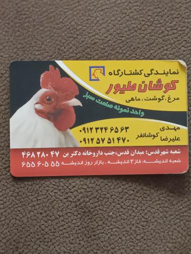 عکس کوشان طیور