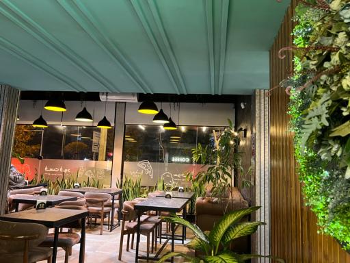 عکس کافه رستوران گیلاک