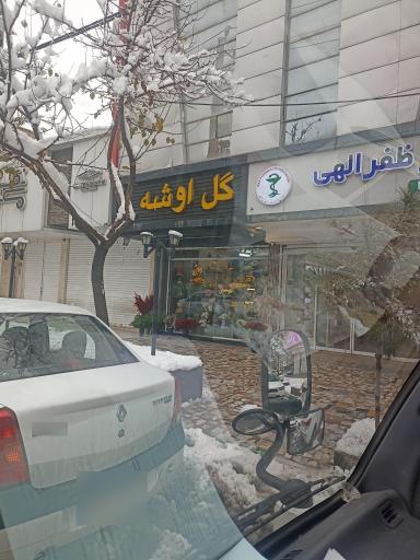 عکس گل اوشه